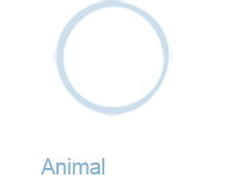 Reliance Animal Hospital